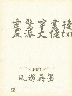 震惊穿书后娶了反派大佬txt