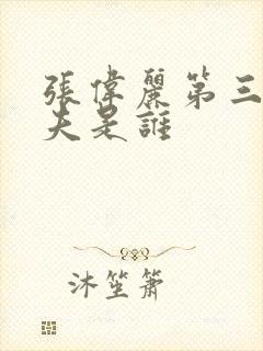 张伟丽第三任丈夫是谁