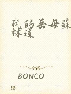 我的岳母苏沛真林道封面