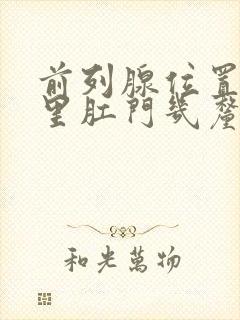 前列腺位置在哪里肛门几厘米