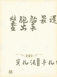 双胞胎最迟几周查出来