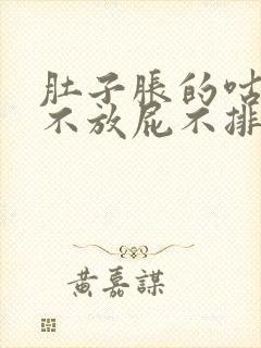 肚子胀的咕咕响不放屁不排便咋办