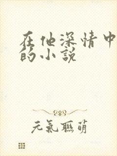 在他深情中陨落的小说