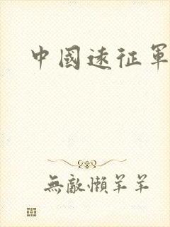 中国远征军小说