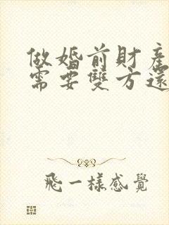 做婚前财产公证需要双方还是一方