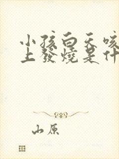 小孩白天咳嗽晚上发烧是什么原因