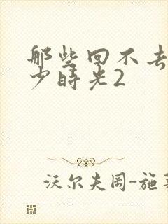 那些回不去的年少时光2