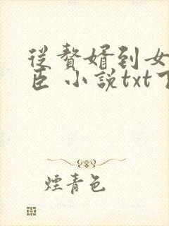 从赘婿到女帝宠臣 小说txt下载