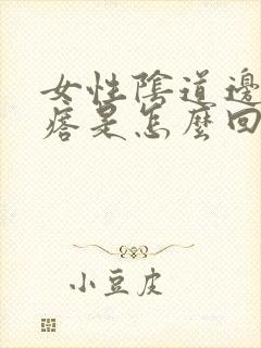 女性阴道边有疙瘩是怎么回事