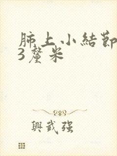 肺上小结节0.3厘米