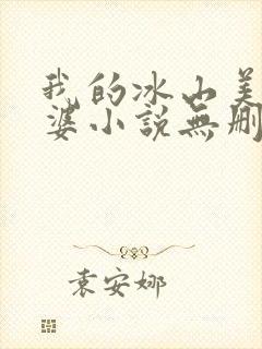 我的冰山美女老婆小说无删减