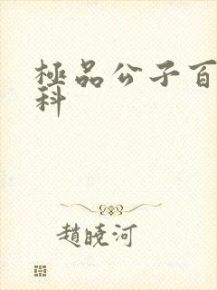 极品公子百度百科封面