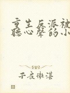 重生反派被女主听心声的小说