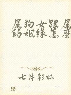 属狗女跟属兔男的姻缘怎么样