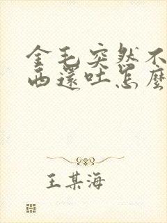 金毛突然不吃东西还吐怎么办