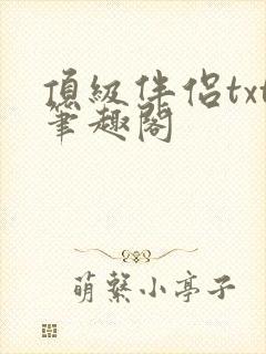 顶级伴侣txt笔趣阁