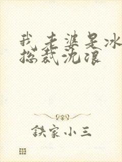 我老婆是冰山女总裁沈浪封面