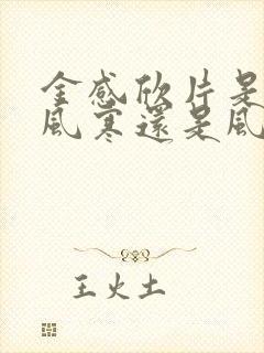 金感欣片是治疗风寒还是风热感冒