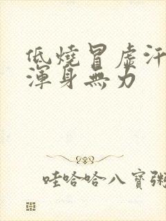 低烧冒虚汗头晕浑身无力封面