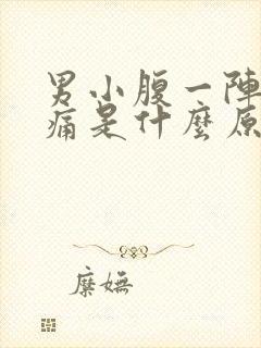 男小腹一阵一阵痛是什么原因