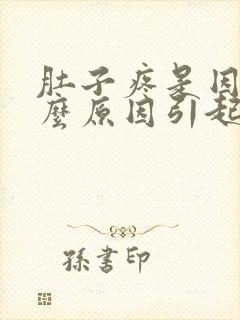 肚子疼是因为什么原因引起的封面