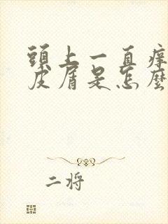 头上一直痒有头皮屑是怎么回事