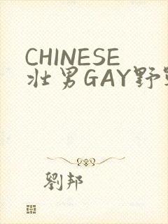 CHINESE壮男GAY野战强迫TUBE