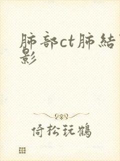 肺部ct肺结节影