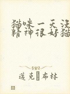 猫咪一天没尿 精神很好猫咪一天不尿正常吗封面