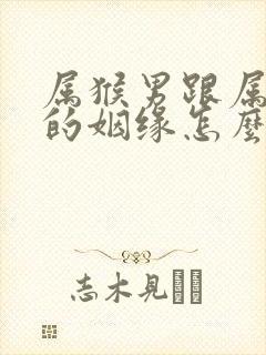 属猴男跟属鼠女的姻缘怎么样