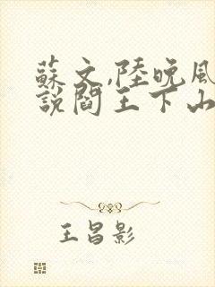 苏文,陆晚风小说阎王下山