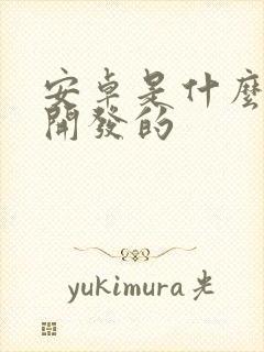 安卓是什么语言开发的