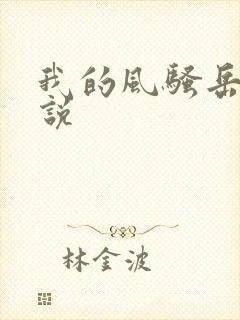 我的风骚岳母小说