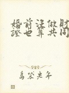 婚前没做财产公证也算共同财产吗