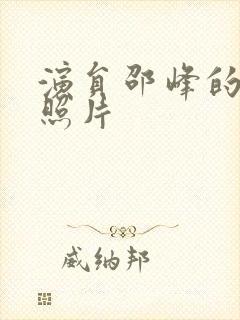 演员邵峰的妻子照片封面