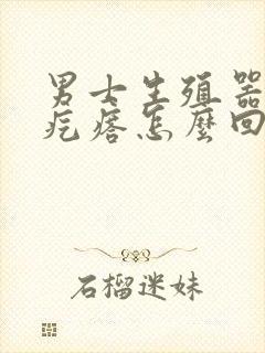 男士生殖器上长疙瘩怎么回事