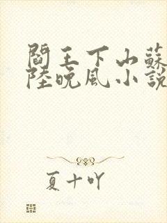 阎王下山苏文,陆晚风小说封面