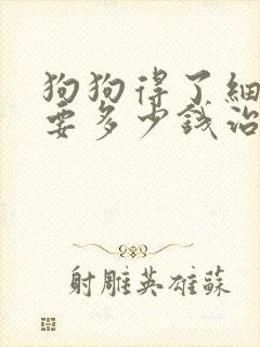 狗狗得了细小需要多少钱治疗封面