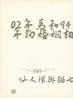 02年马和94年狗婚姻相配吗