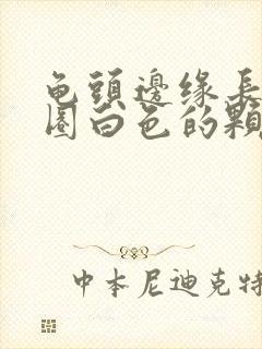 龟头边缘长了一圈白色的颗粒