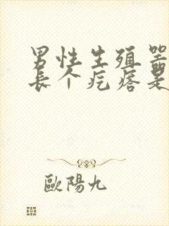 男性生殖器边上长个疙瘩是怎么回事