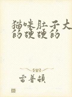 猫咪肚子大鼓鼓的硬硬的