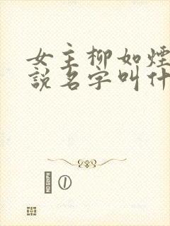 女主柳如烟的小说名字叫什么