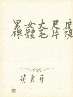 男女大尺度激情裸体毛片视频