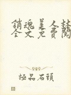 销魂美人林婷婉全文免费阅读小说