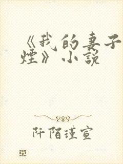 《我的妻子柳如烟》小说