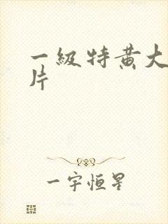 一级特黄大真人片