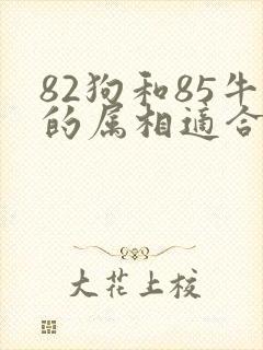 82狗和85牛的属相适合做夫妻吗