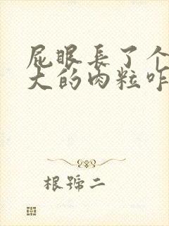 屁眼长了个黄豆大的肉粒咋办