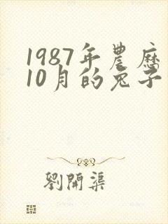 1987年农历10月的兔子命运
